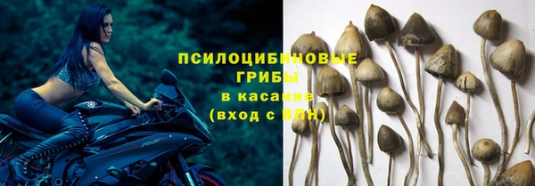 соль курить ск Аркадак